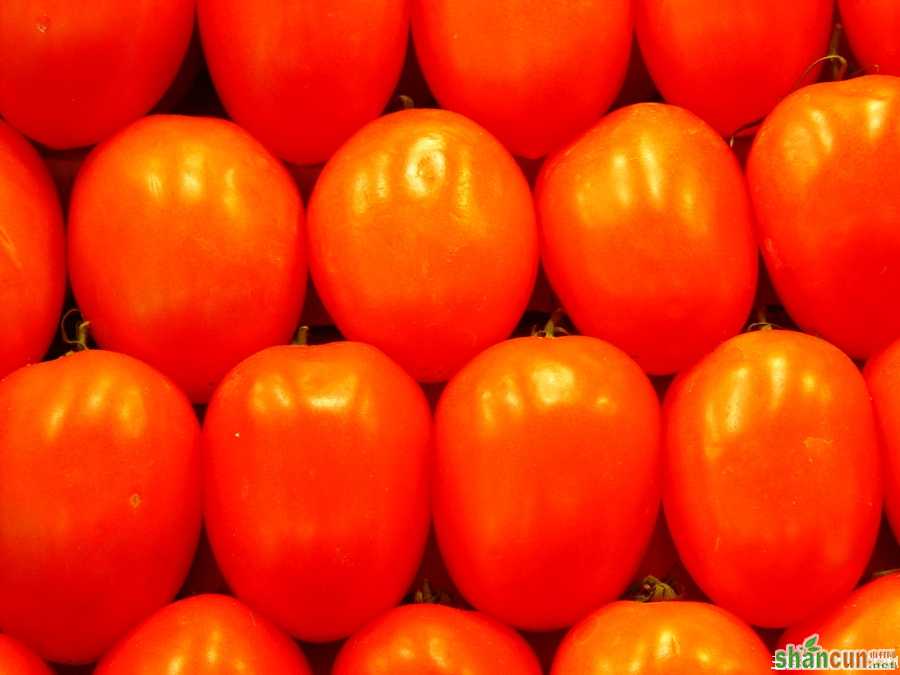 西红柿食用禁忌！ 山村