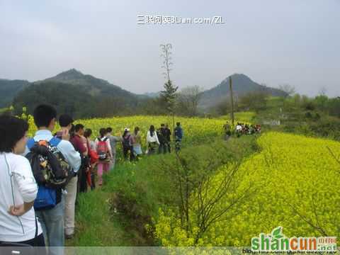 春季惕防清明综合征 山村