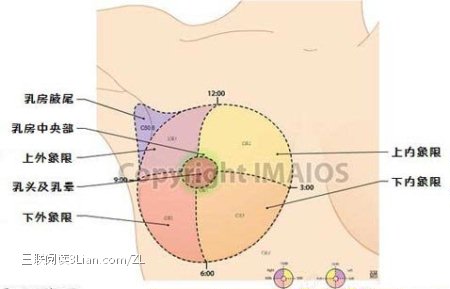 刮腋毛易导致乳腺癌？ 山村