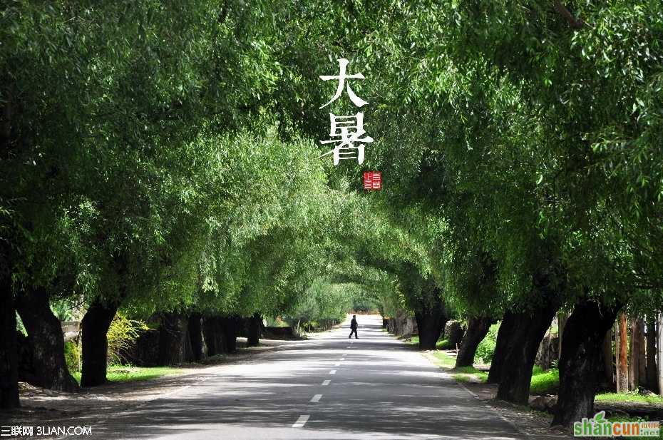 大暑养生攻略大全 山村