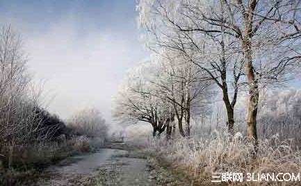 霜降时节如何养生 山村