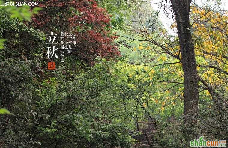 立秋过后应注意预防哪些疾病 山村