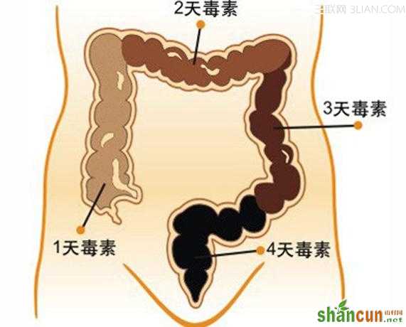 什么是宿便           山村