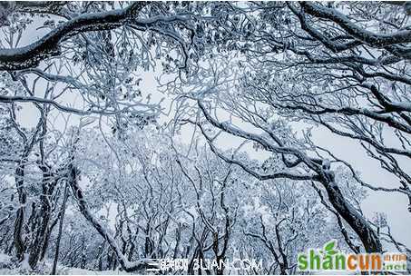 大雪节气养生谨记9个方面                 山村