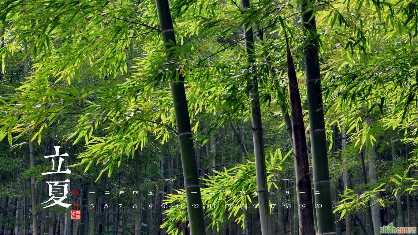 立夏养生小常识大全 山村