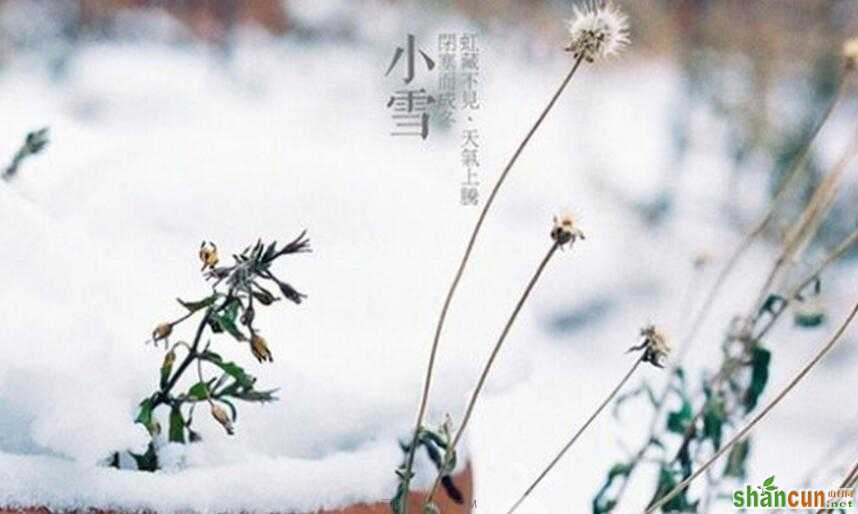 小雪养生 注意保暖 山村