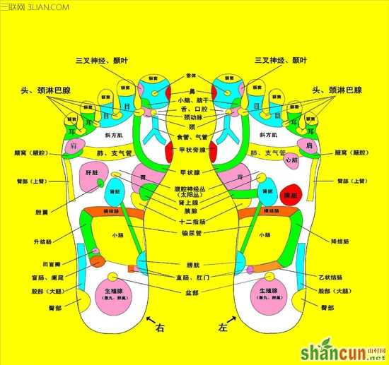 胃火大怎么办 治胃火的两个穴位