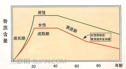 如何判断是否骨质疏松     山村