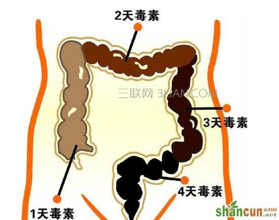 如何有效的清宿便     山村