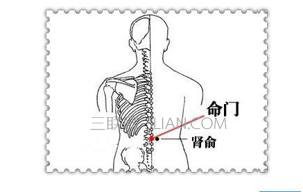 男人常按哪些穴位可壮阳    山村