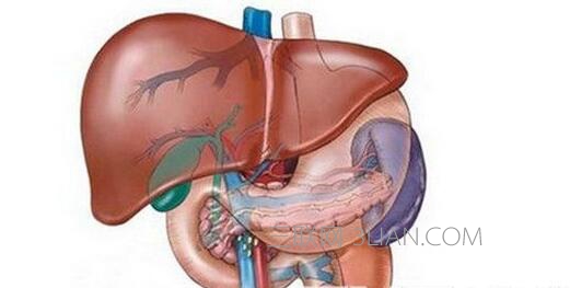 为什么会肝功能异常    山村