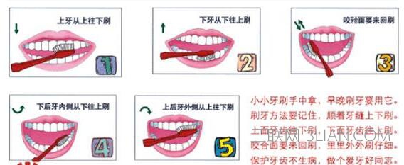 冬天要如何正确刷牙      山村