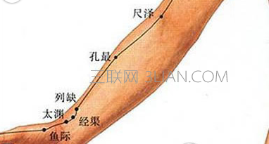 肺经上有哪些重要穴位     山村