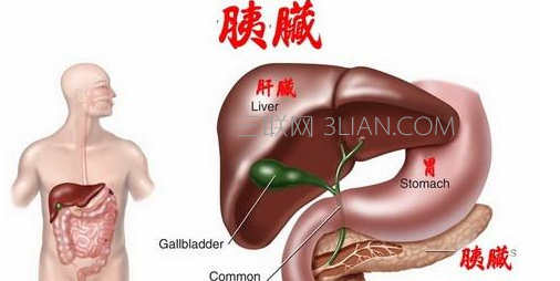 胰腺炎疼痛要如何缓解     山村