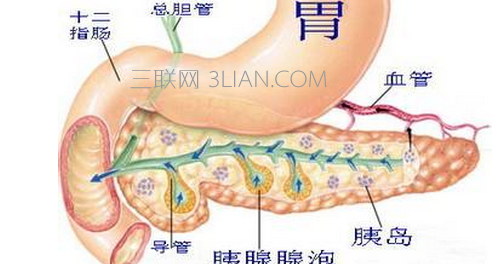 胰腺炎的症状是什么    山村