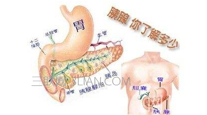 胰腺炎是哪个部位疼    山村