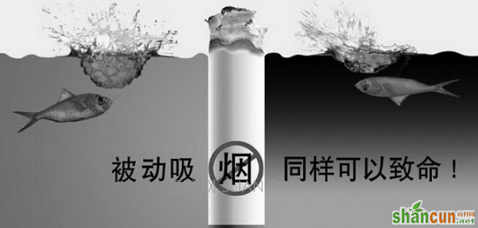 二手烟的危害 山村