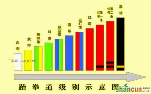 跆拳道分为几带   山村