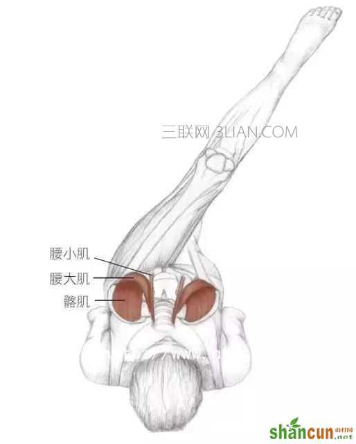 男人如何锻炼对腰好    山村