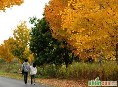 秋季应多做户外运动 山村