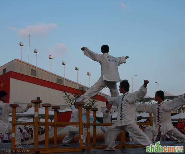 如何练习梅花拳      山村