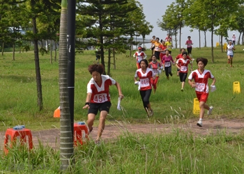 定向运动器材有哪些 山村