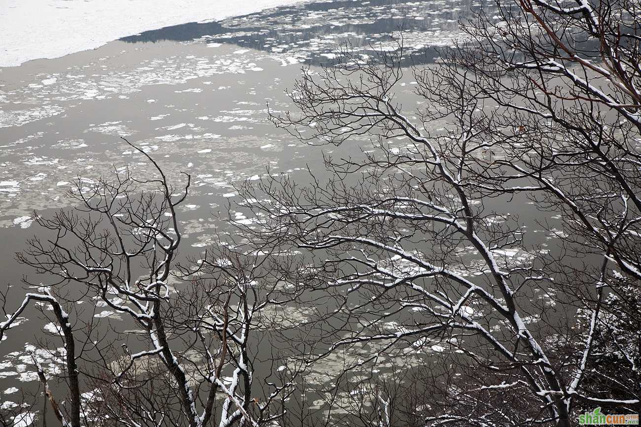 腊月蚕豆管理措施  山村