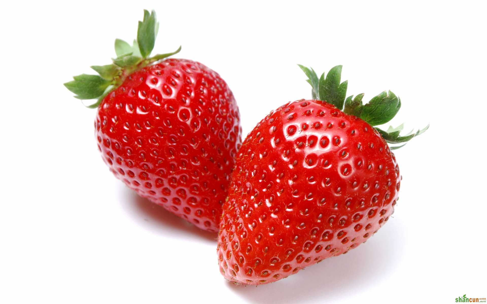 大棚草莓出现大量畸形果的原因 山村