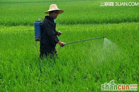 提高农药药效的6个方法 山村