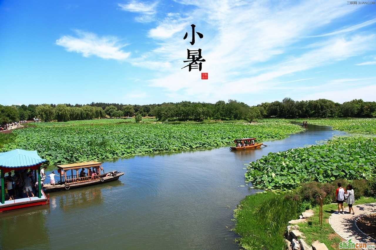 小暑还能种大豆吗 山村