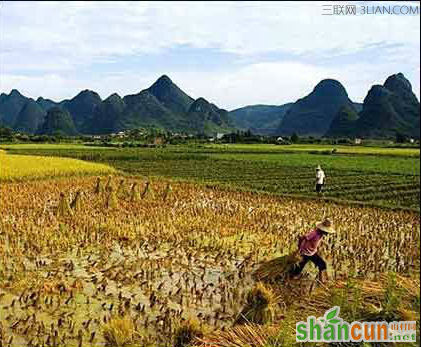 关于秋分农事概况 山村