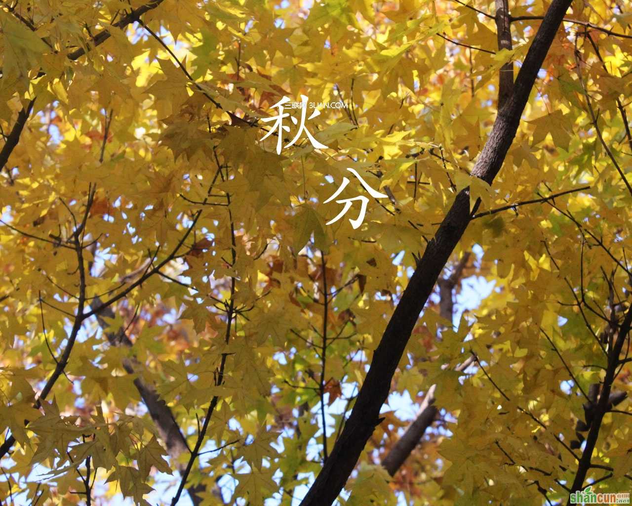 秋分节气各地流行的谚语  山村