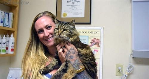 oldest-living-cat-ashley-and-cord_tcm25-391832_500<em></em>x264