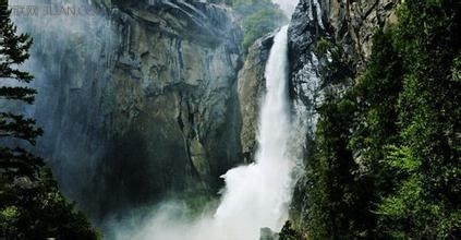 世界上寿命最长的森林 山村