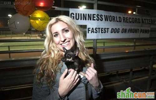 fastest-5-metres-on-front-paws-by-a-dog_konjo_guinness_world_records_attempt_photo_tcm25-385888_500<em></em>x323