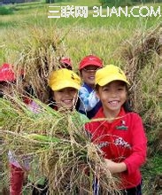 我国小学生在世界粮食日体验农耕