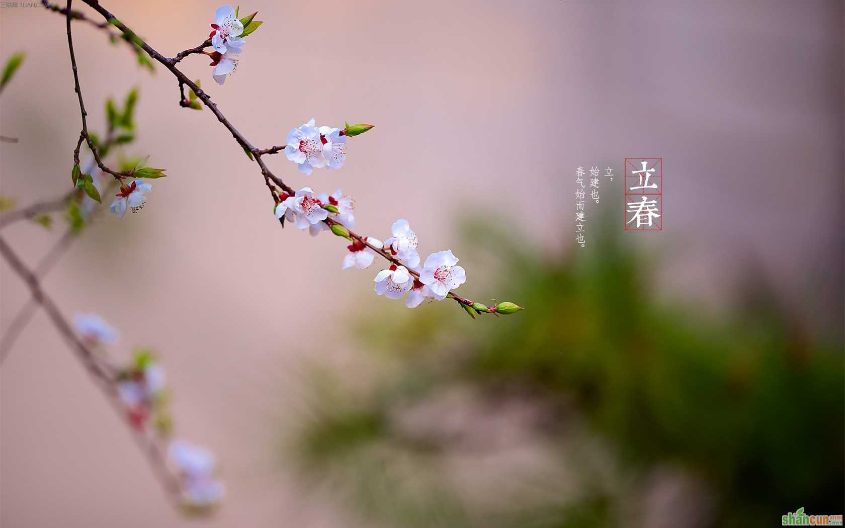 过立春吃什么传统食物 山村