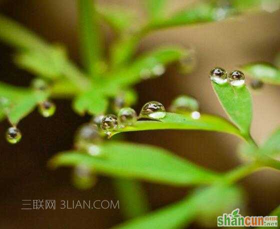 雨水节气会下雨吗   山村