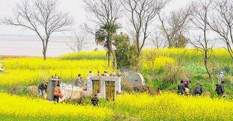 清明节扫墓能提前吗    山村