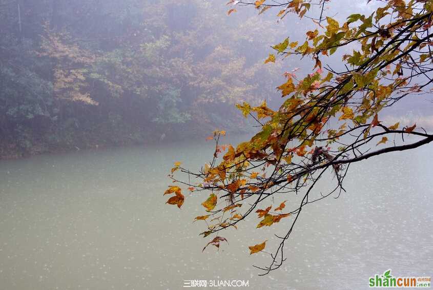 秋分至 秋意浓   山村