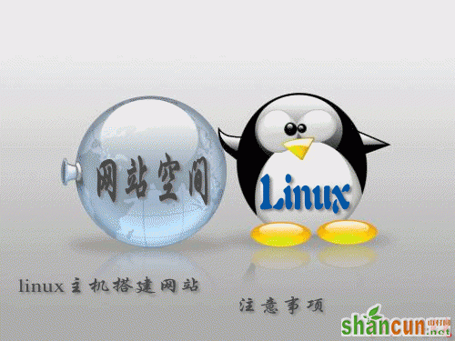 浅谈使用Linux主机建设网站注意事项 山村