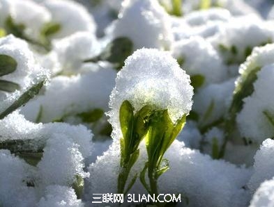 2015年立春是几月几号           山村