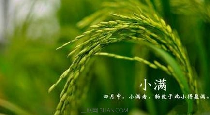 小满是什么节气      山村