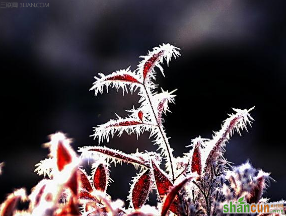 立冬的气候特点  山村