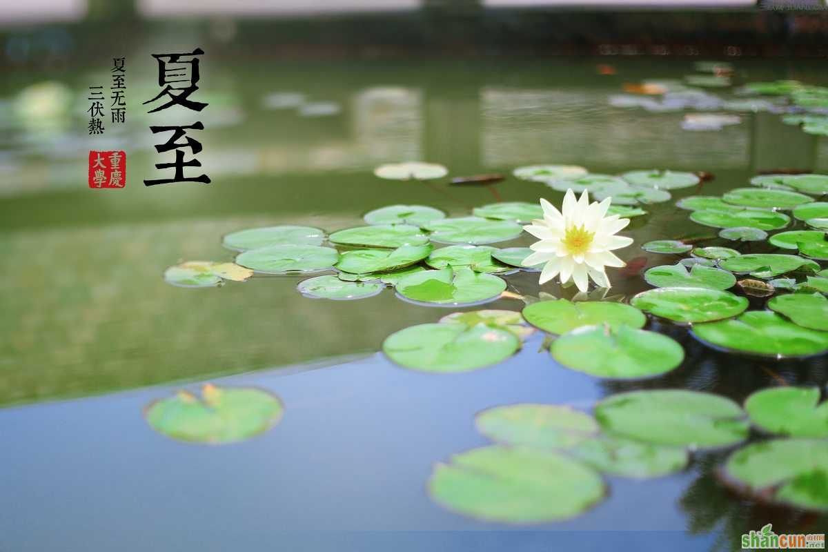 夏至节气各地有什么习俗 山村