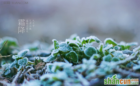 霜降的气候特征    山村