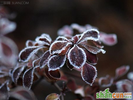 霜降是什么季节   山村