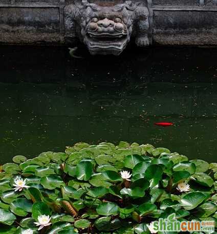 夏至节气概述            山村