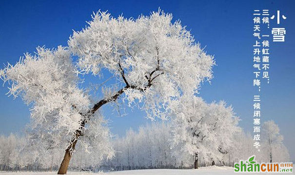 小雪的由来  山村