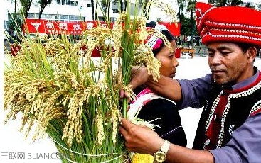 新米节是哪个民族的节日    山村